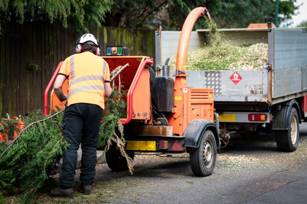 Best Tree Cabling and Bracing  in Lincoln Rk, PA