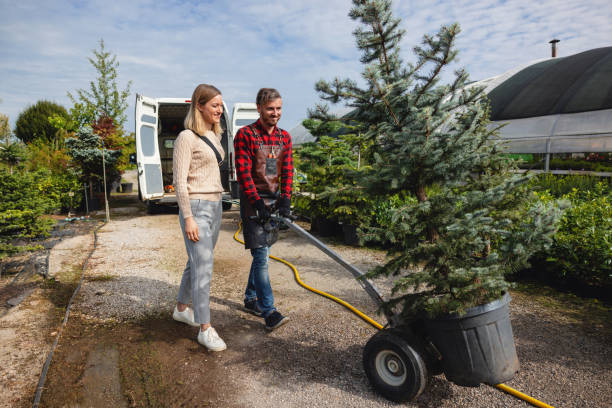 Best Tree Trimming and Pruning  in Lincoln Rk, PA